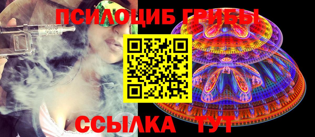 Псилоцибиновые грибы GOLDEN TEACHER Назрань